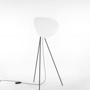 Hind Rabii, INFINITY EDITION