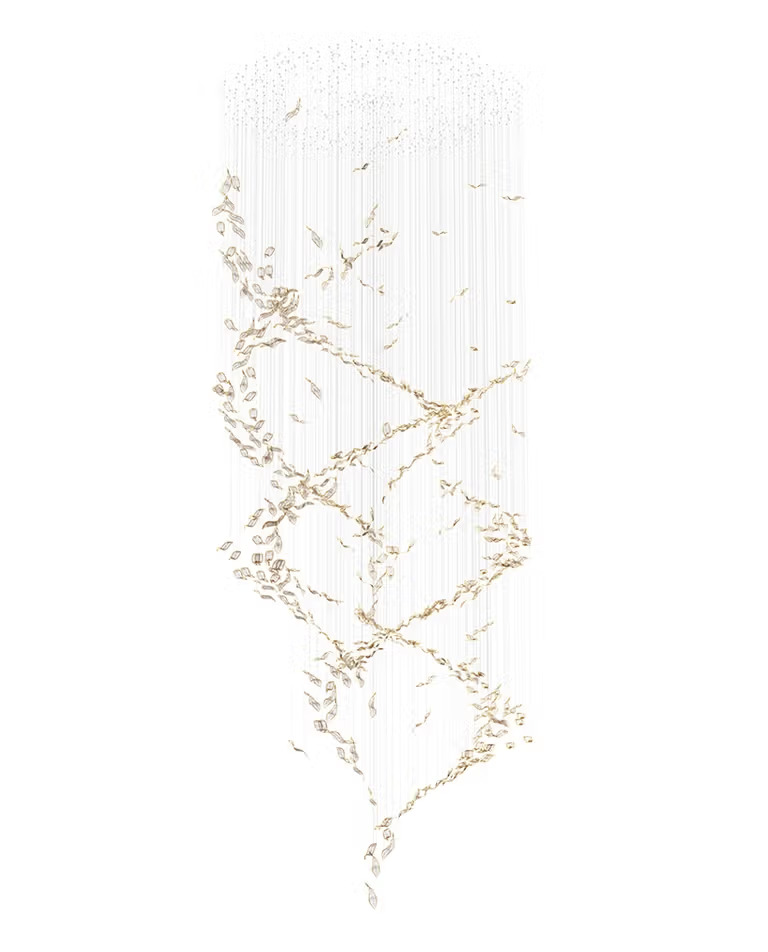 Sans Souci Contour